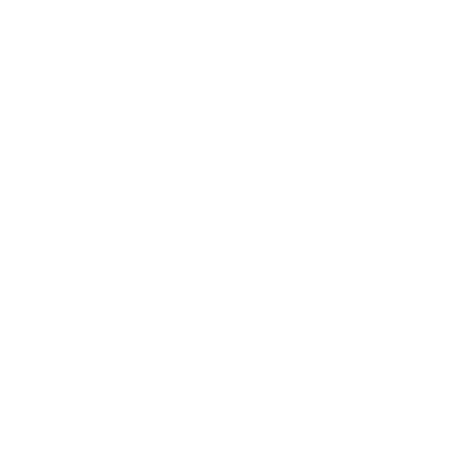 MPA WIT LOGOO